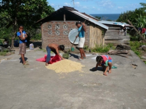 P1160191 Family raking coffee beans